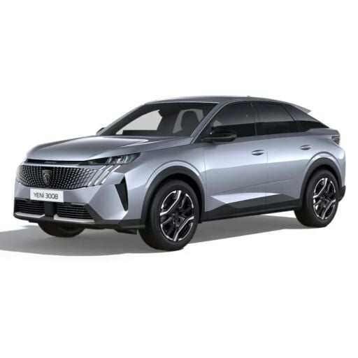 Peugeot 3008 Ekran Koruyucu